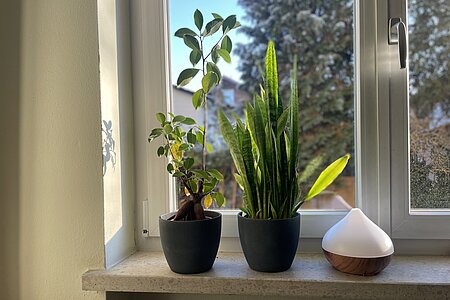 mehr zum Thema Prioritäten festlegen