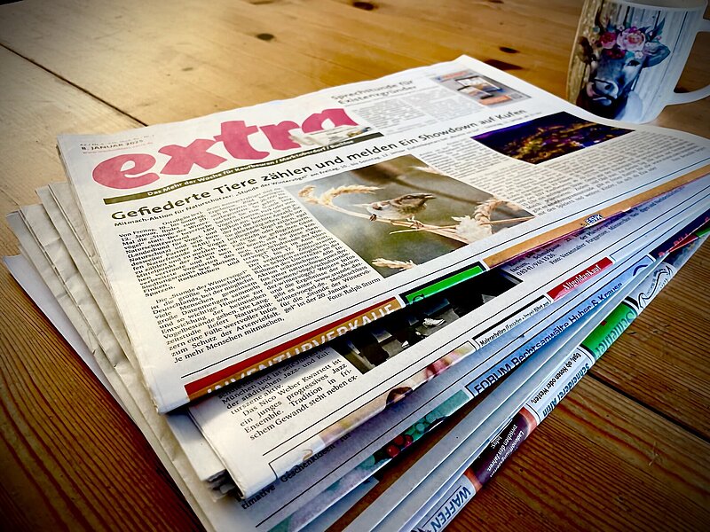 Stapel von Zeitungen auf einem Schreibtisch, daneben eine Tasse mit Kuhmotiv